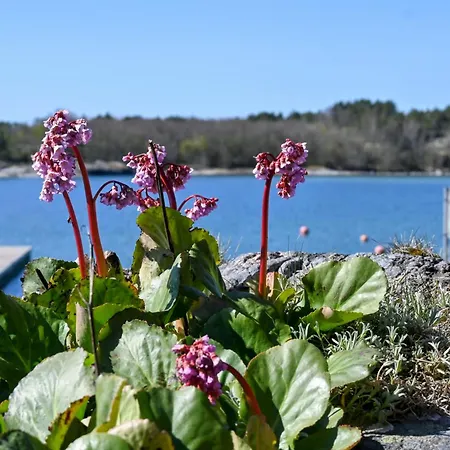 Strandhugget * Sottunga