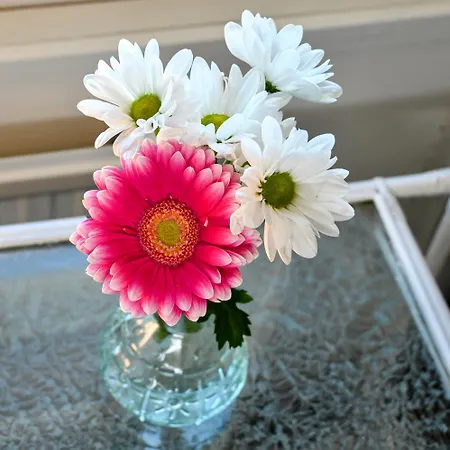 Nocleg ze śniadaniem Strandhugget