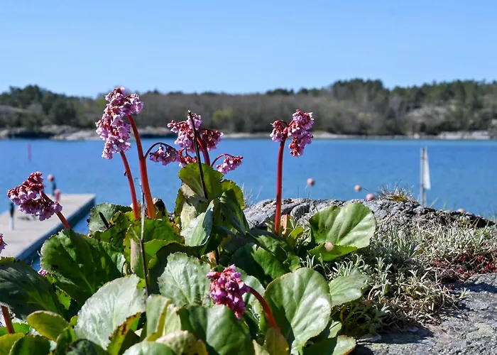 Strandhugget * Sottunga