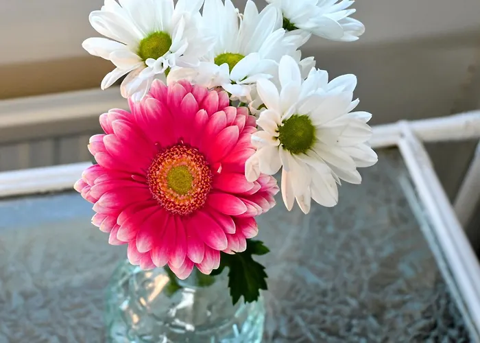 Bed & Breakfast Strandhugget